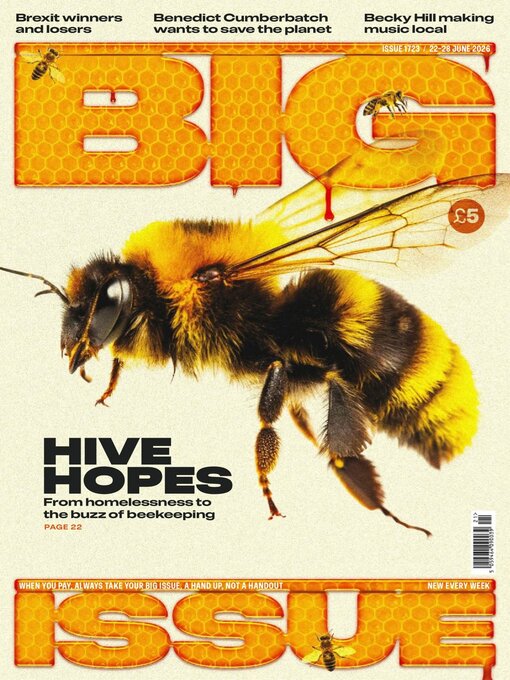 Cover image for The Big Issue